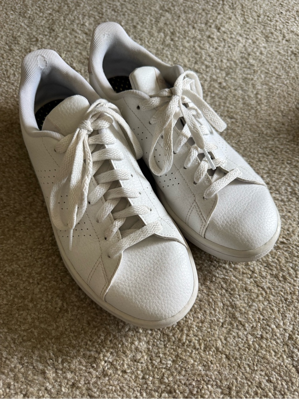 Adidas Advantage Sneakers in White